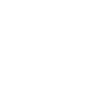 Лого Shenzhou белый без фона