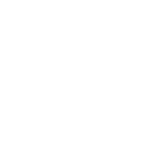 Лого Shenzhou белый без фона11